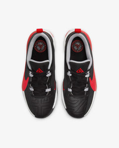 NIKE GIANNIS FREAK 5 GS